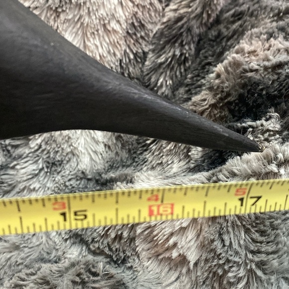 Hand Painted Wooden Loon Coin Bank with Plexiglass Vintage - Picture 13 of 16